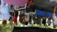 /album/ee-juin-2025-rando-repas-a-st-hippolyte/f-118-jpg/